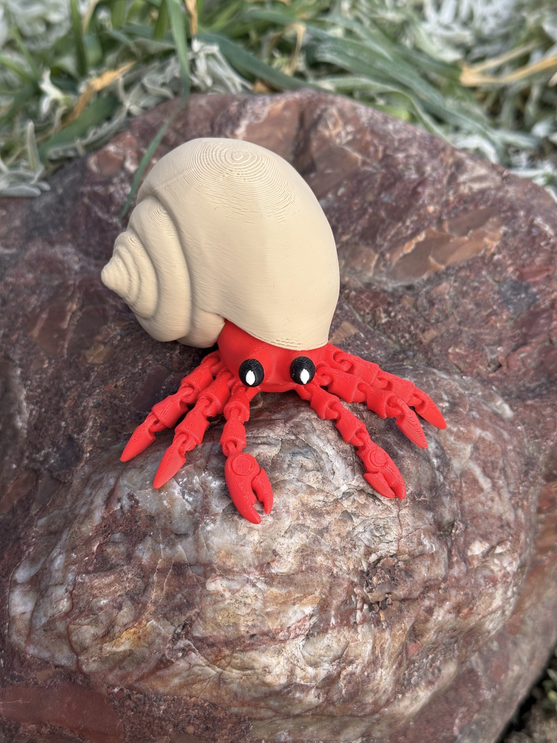 Krab pustelnik w muszli 3D – przegubowa figurka z ruchomymi szczypcami, zabawka, prezent - obrazek 12