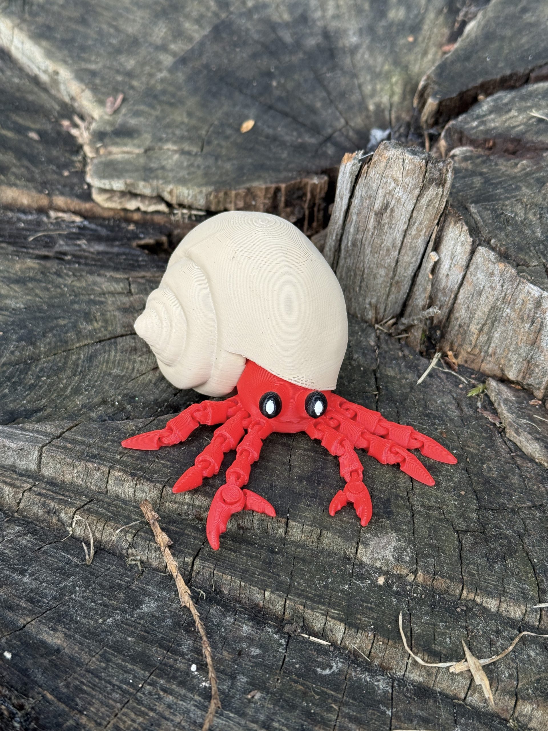 Krab pustelnik w muszli 3D – przegubowa figurka z ruchomymi szczypcami, zabawka, prezent - obrazek 14