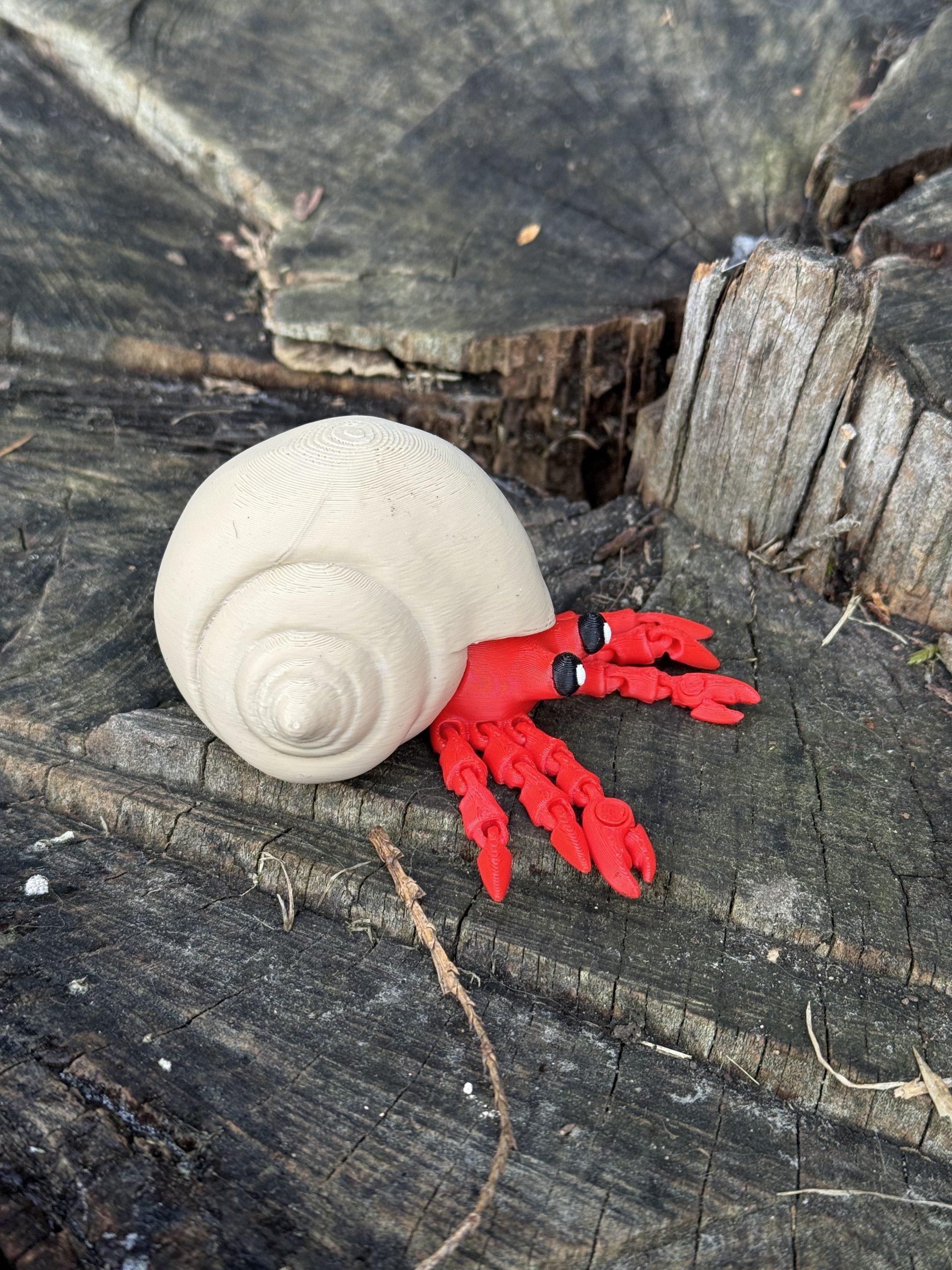 Krab pustelnik w muszli 3D – przegubowa figurka z ruchomymi szczypcami, zabawka, prezent - obrazek 15