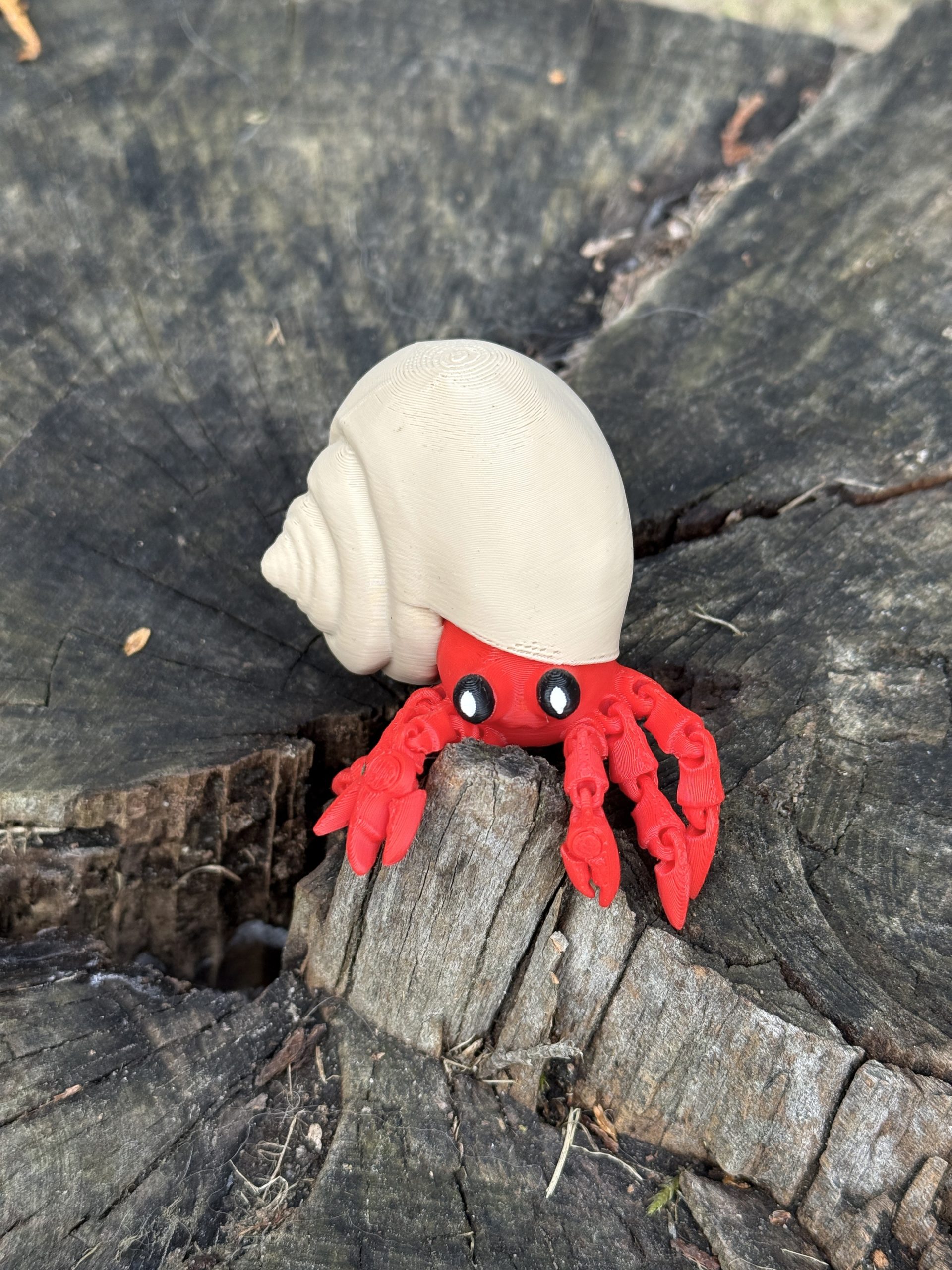 Krab pustelnik w muszli 3D – przegubowa figurka z ruchomymi szczypcami, zabawka, prezent - obrazek 16