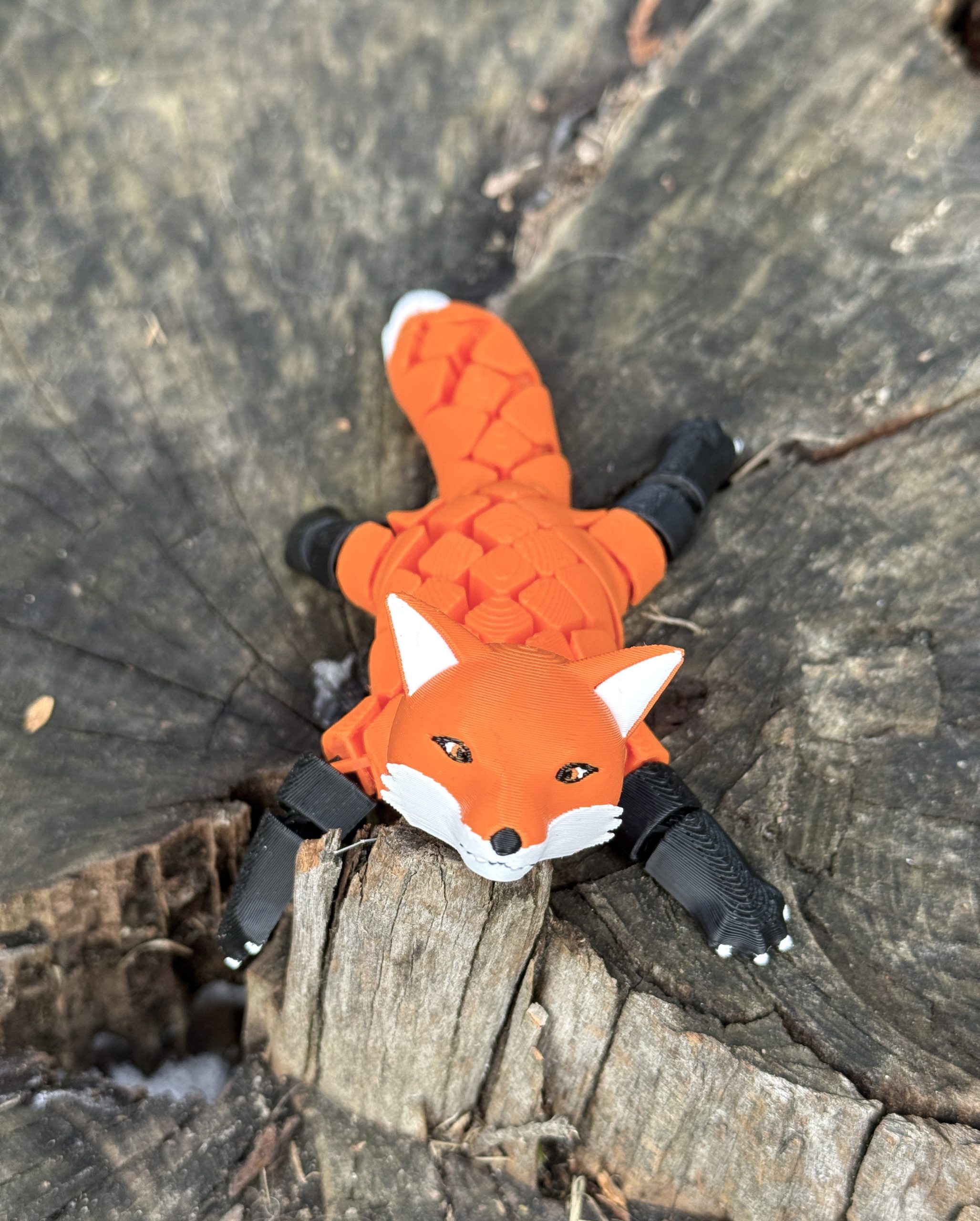 Segmentowy Lis 3D – ruchoma, elastyczna figurka, zabawka - obrazek 14