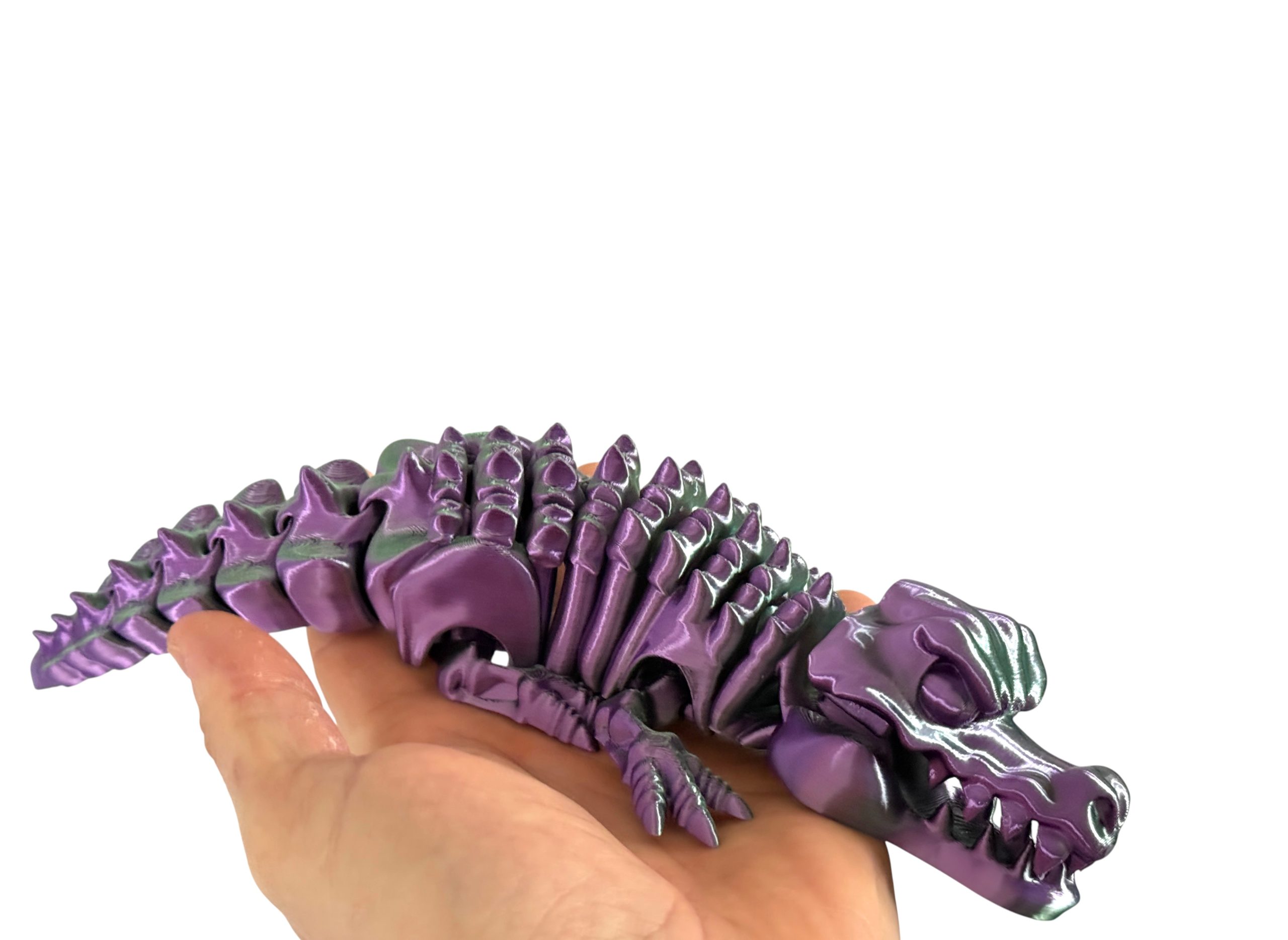 Krokodyl 3D – szkielet pradawnego drapieżnika | przegubowa, ruchoma figurka z otwieraną paszczą