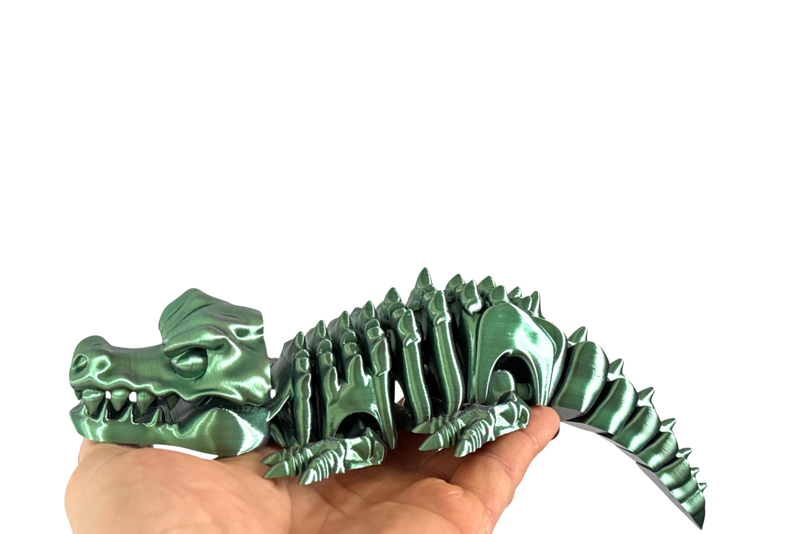 Krokodyl 3D – szkielet pradawnego drapieżnika | przegubowa, ruchoma figurka z otwieraną paszczą - obrazek 15