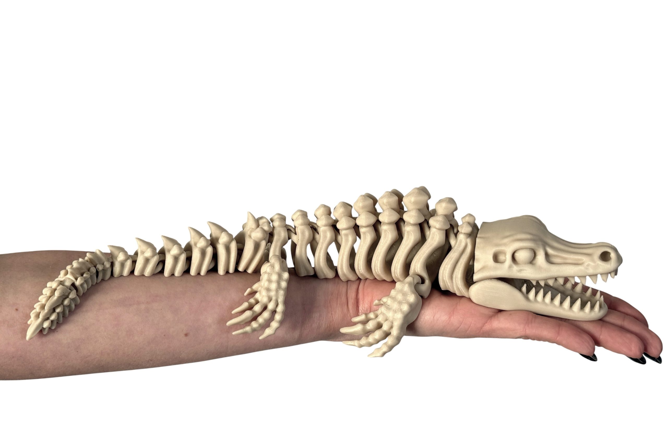 Mozazaur 3D – szkielet prehistorycznego drapieżnika mórz, ogromna 34 cm w pełni ruchoma figurka - obrazek 2
