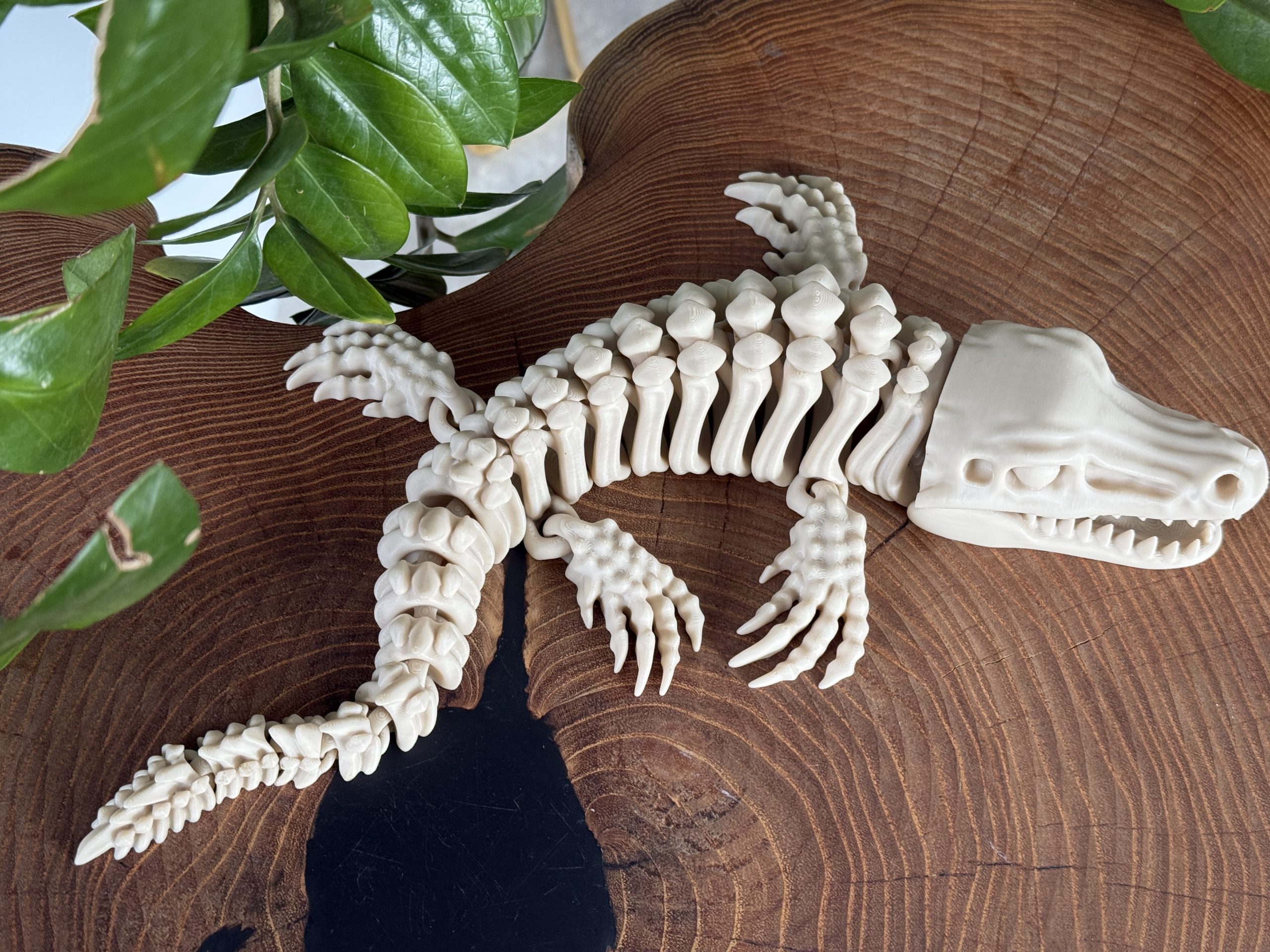 Mozazaur 3D – szkielet prehistorycznego drapieżnika mórz, ogromna 34 cm w pełni ruchoma figurka - obrazek 12