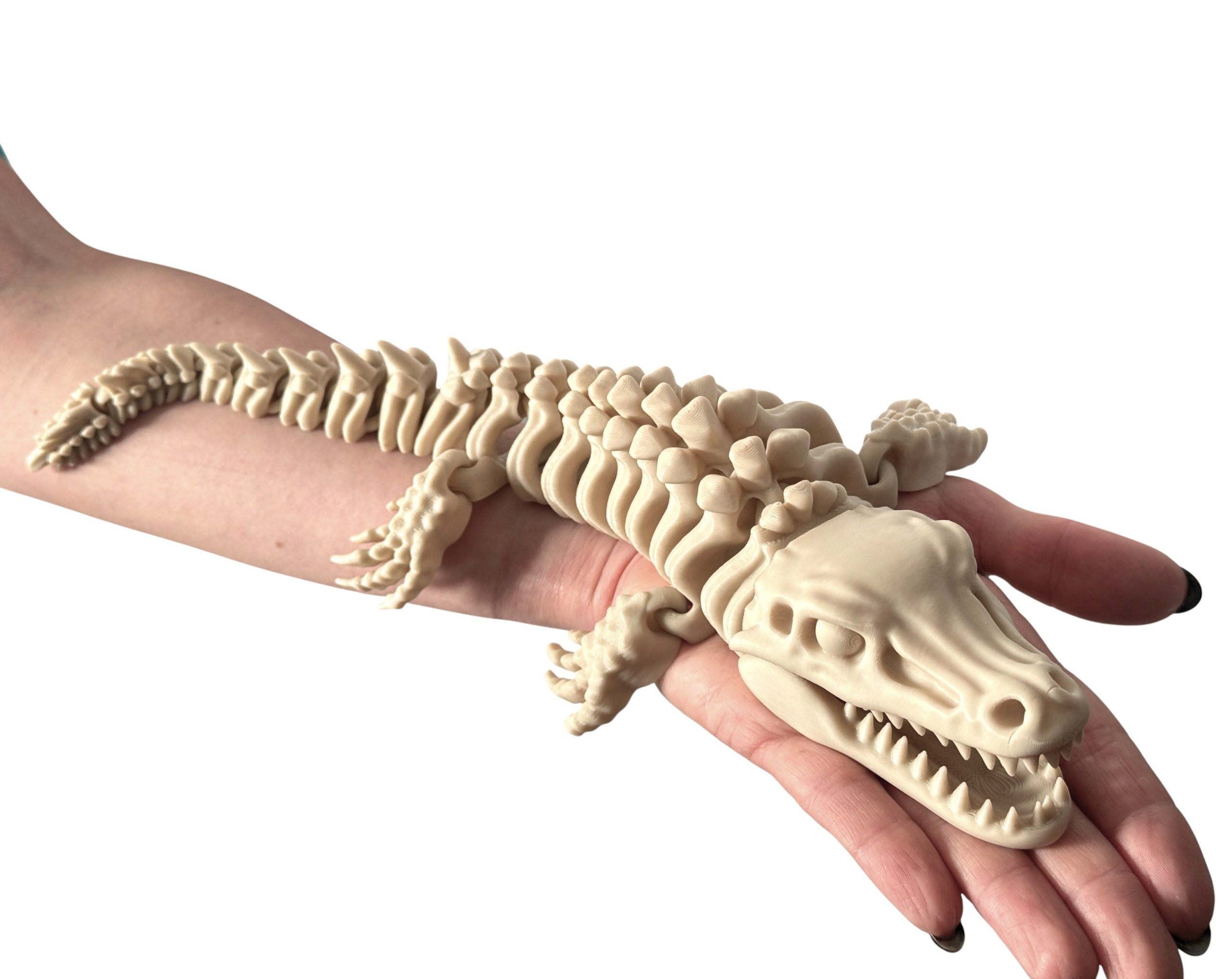 Mozazaur 3D – szkielet prehistorycznego drapieżnika mórz, ogromna 34 cm w pełni ruchoma figurka
