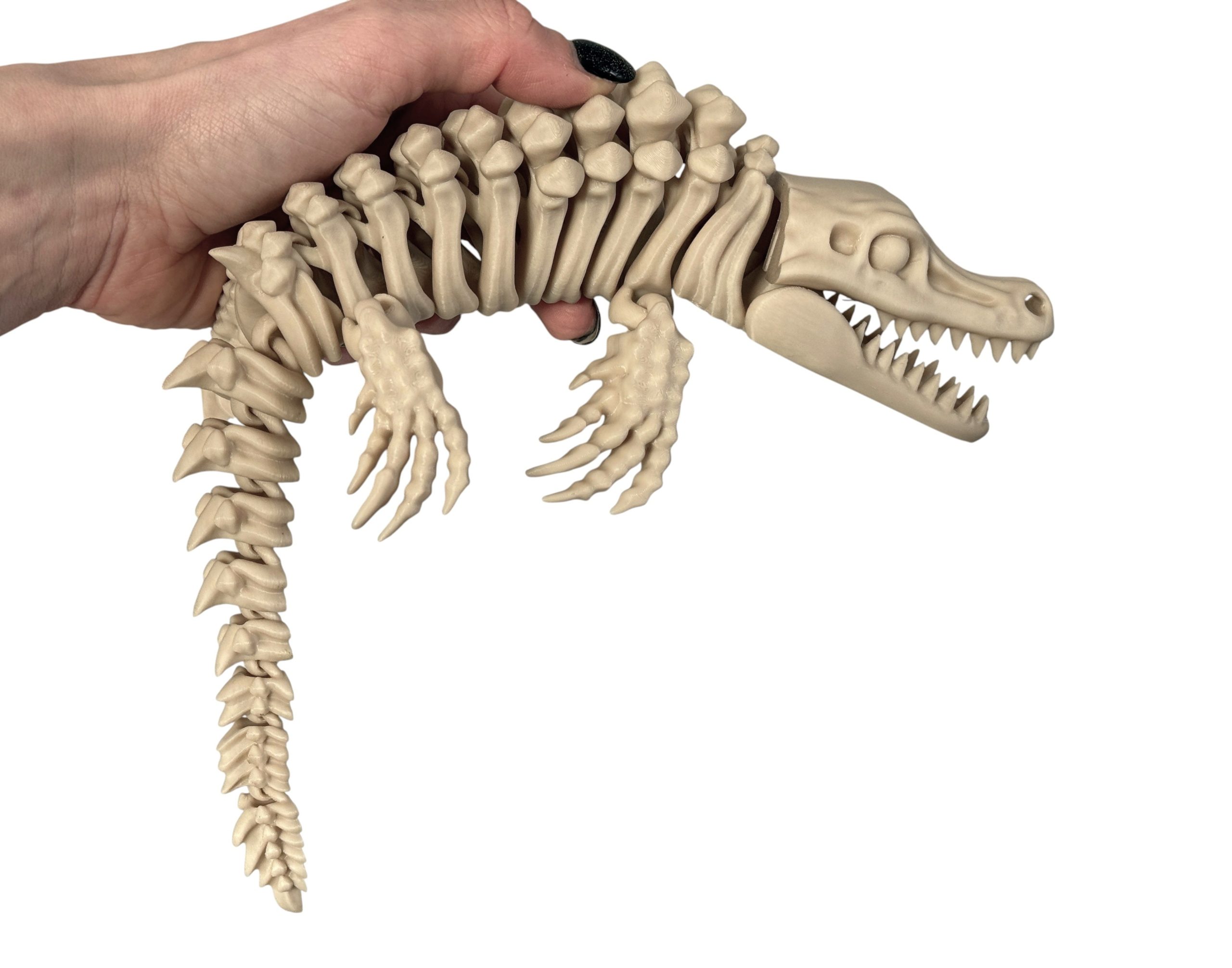 Mozazaur 3D – szkielet prehistorycznego drapieżnika mórz, ogromna 34 cm w pełni ruchoma figurka - obrazek 16